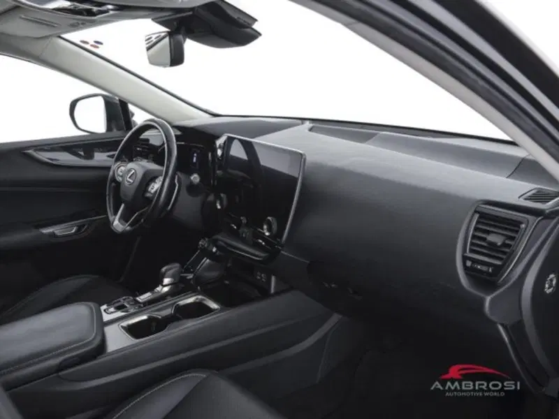 Lexus NX usata a Perugia (12)