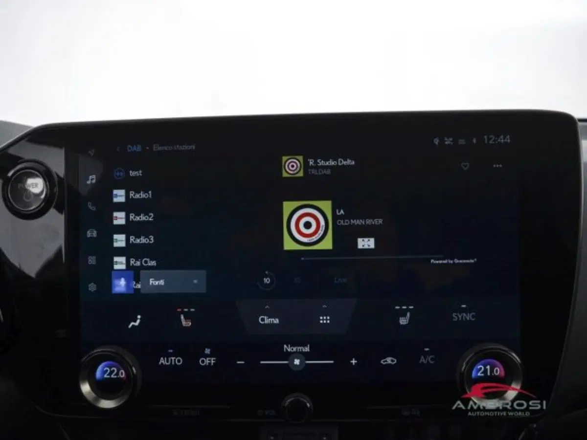 Lexus NX usata a Perugia (14)