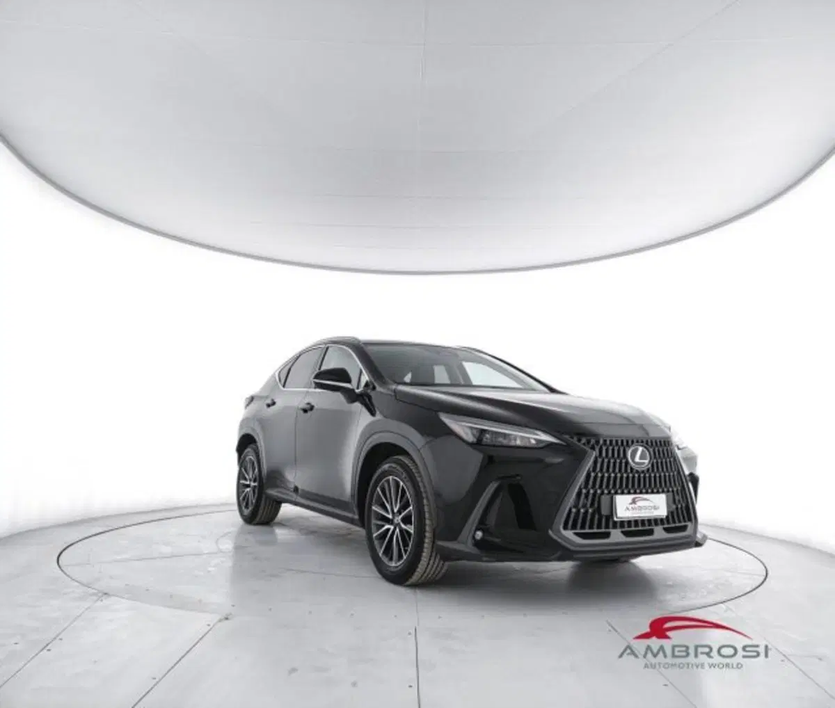Lexus NX usata a Perugia (2)
