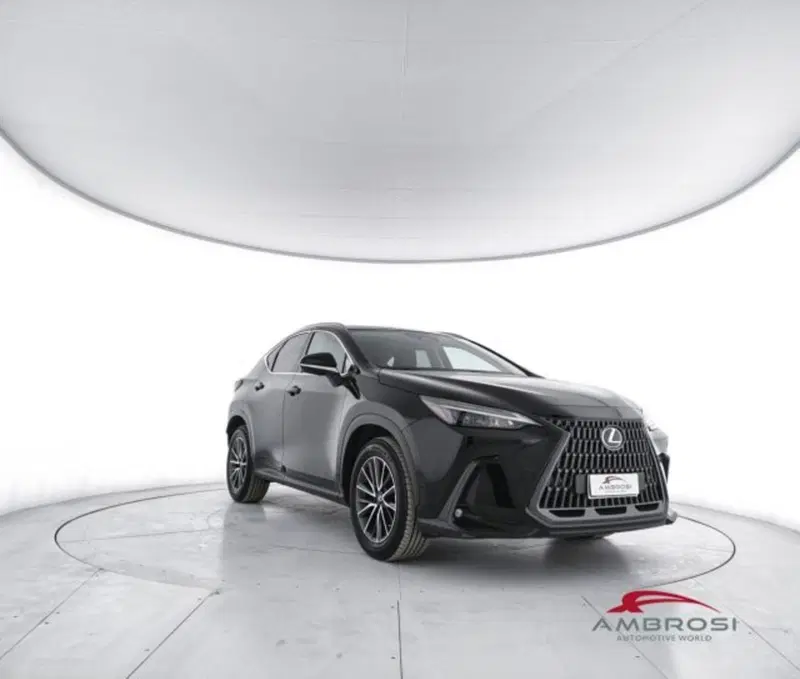 Lexus NX usata a Perugia (2)