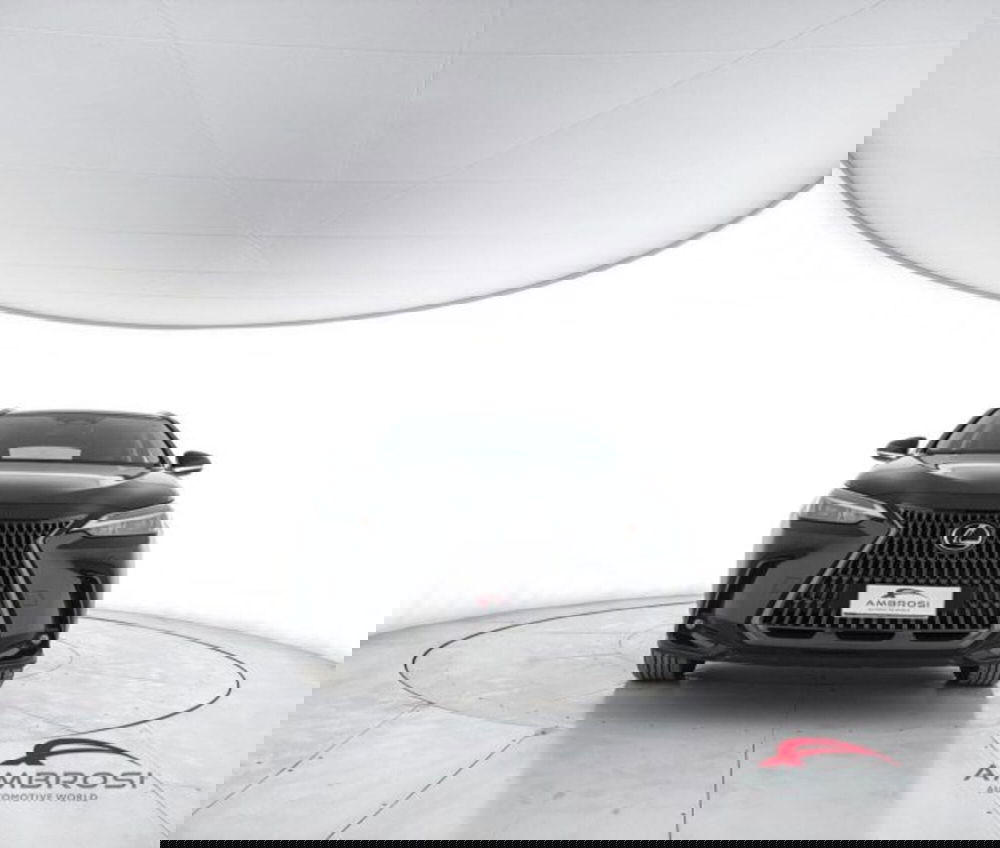 Lexus NX usata a Perugia (5)