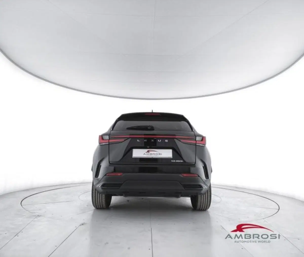 Lexus NX usata a Perugia (6)