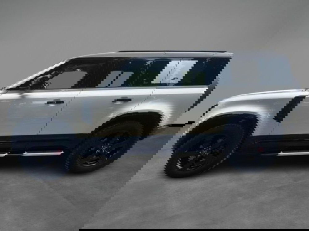 Land Rover Defender usata a Lecce (2)