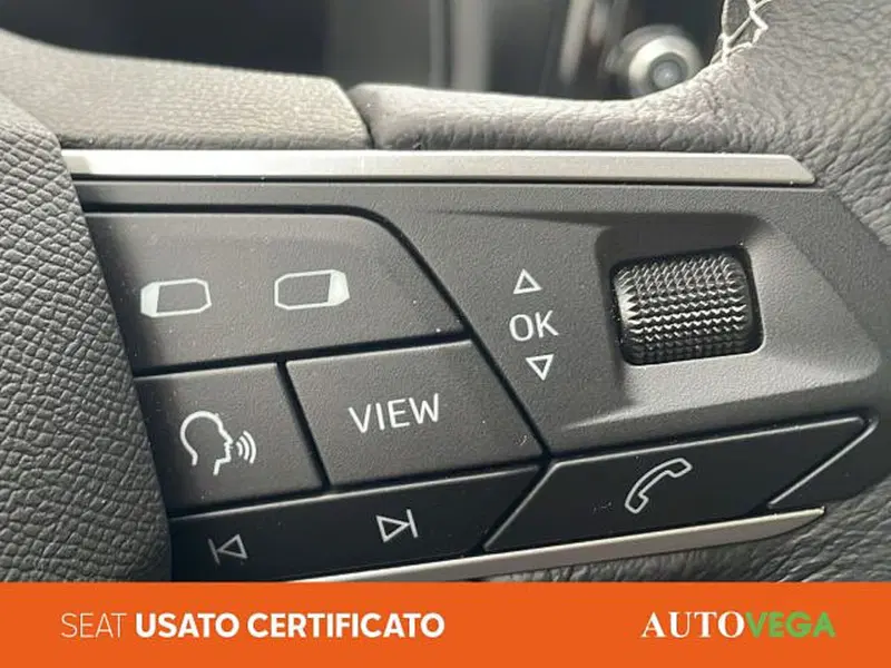 SEAT Ibiza usata a Vicenza (15)