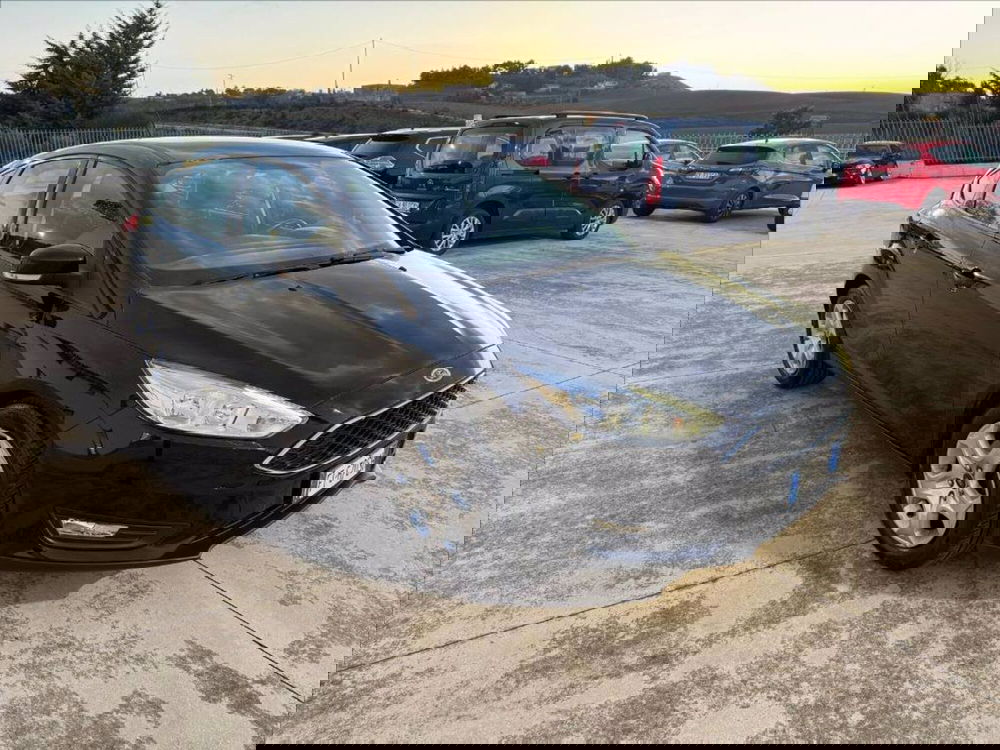 Ford Focus usata a Matera