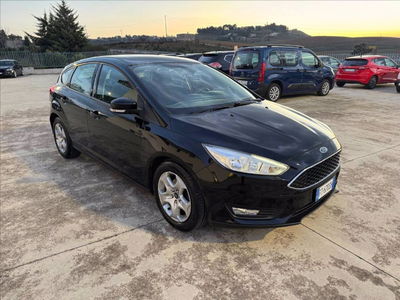 Ford Focus 1.5 EcoBlue 95 CV 5p. Plus del 2019 usata a Matera