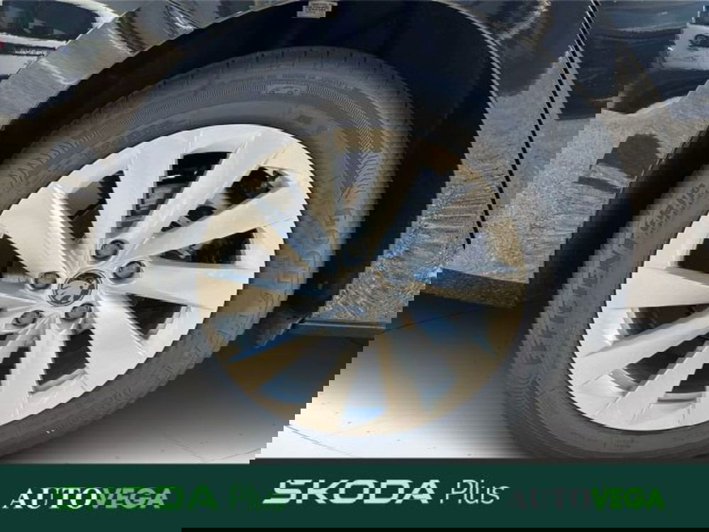 Skoda Octavia Station Wagon nuova a Vicenza (15)