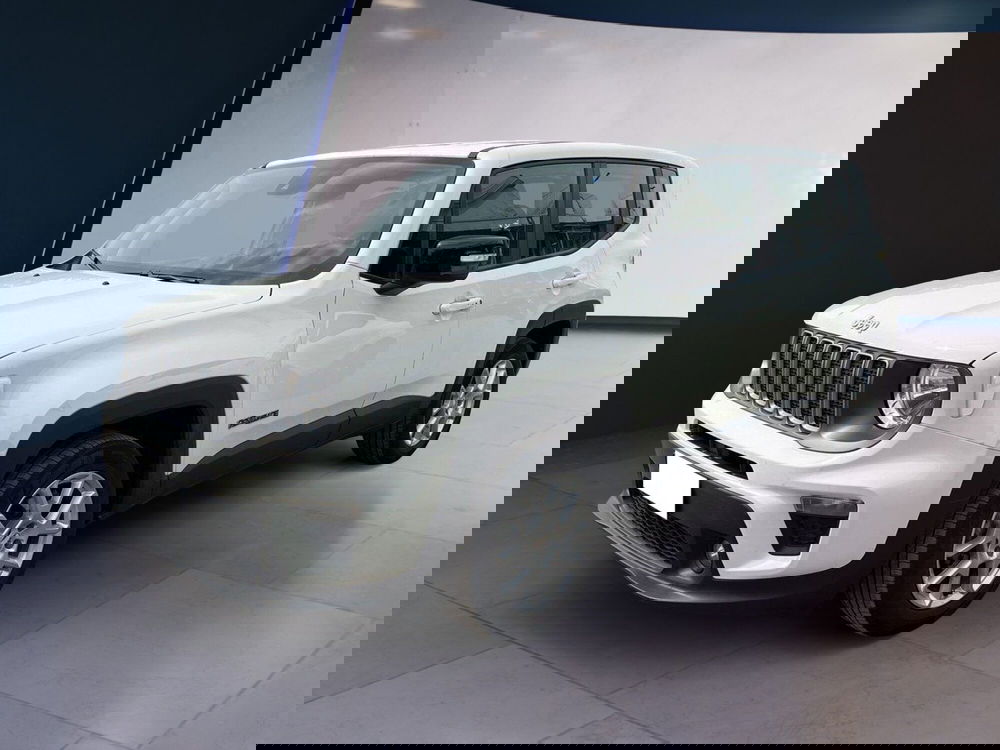 Jeep Renegade usata a Torino (2)