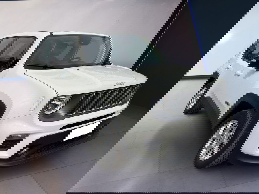 Jeep Renegade usata a Torino (3)