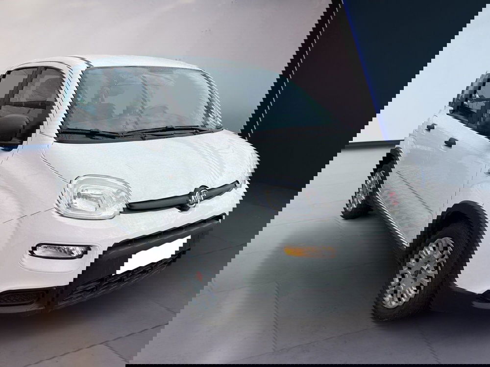 Fiat Panda usata a Torino (3)