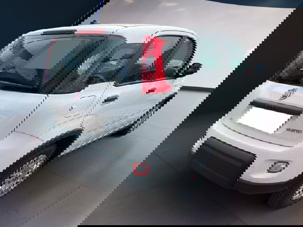 Fiat Panda usata a Torino (4)