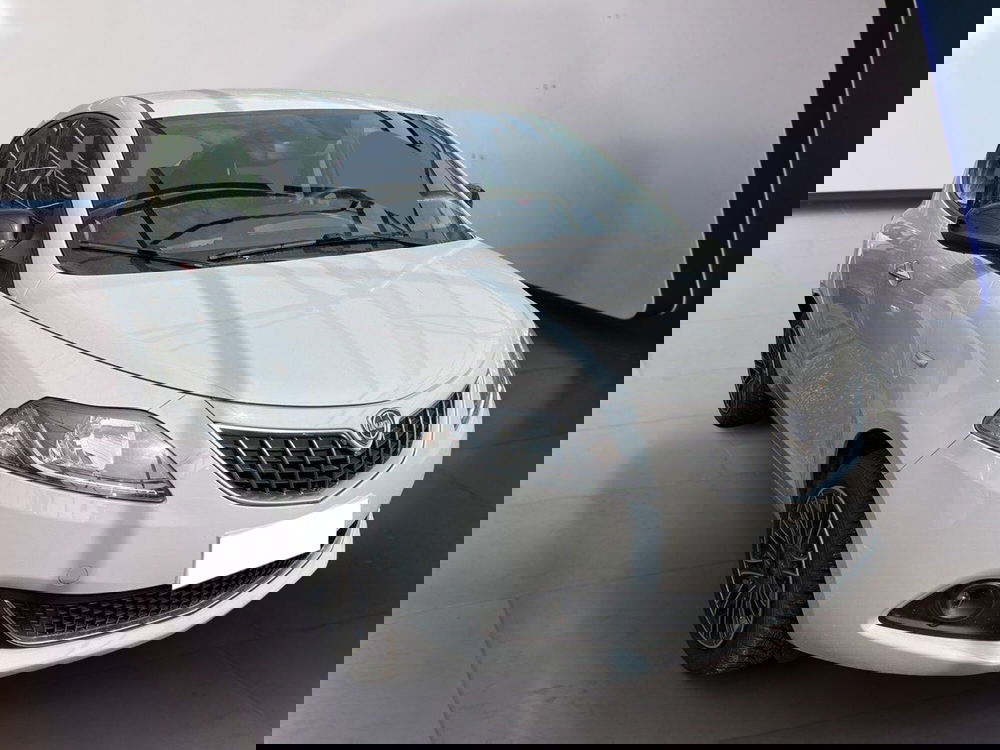 Lancia Ypsilon usata a Torino (2)