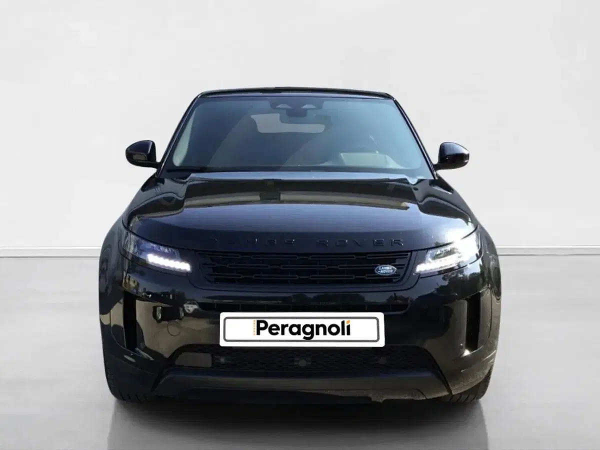 Land Rover Range Rover Evoque usata a Siena (8)