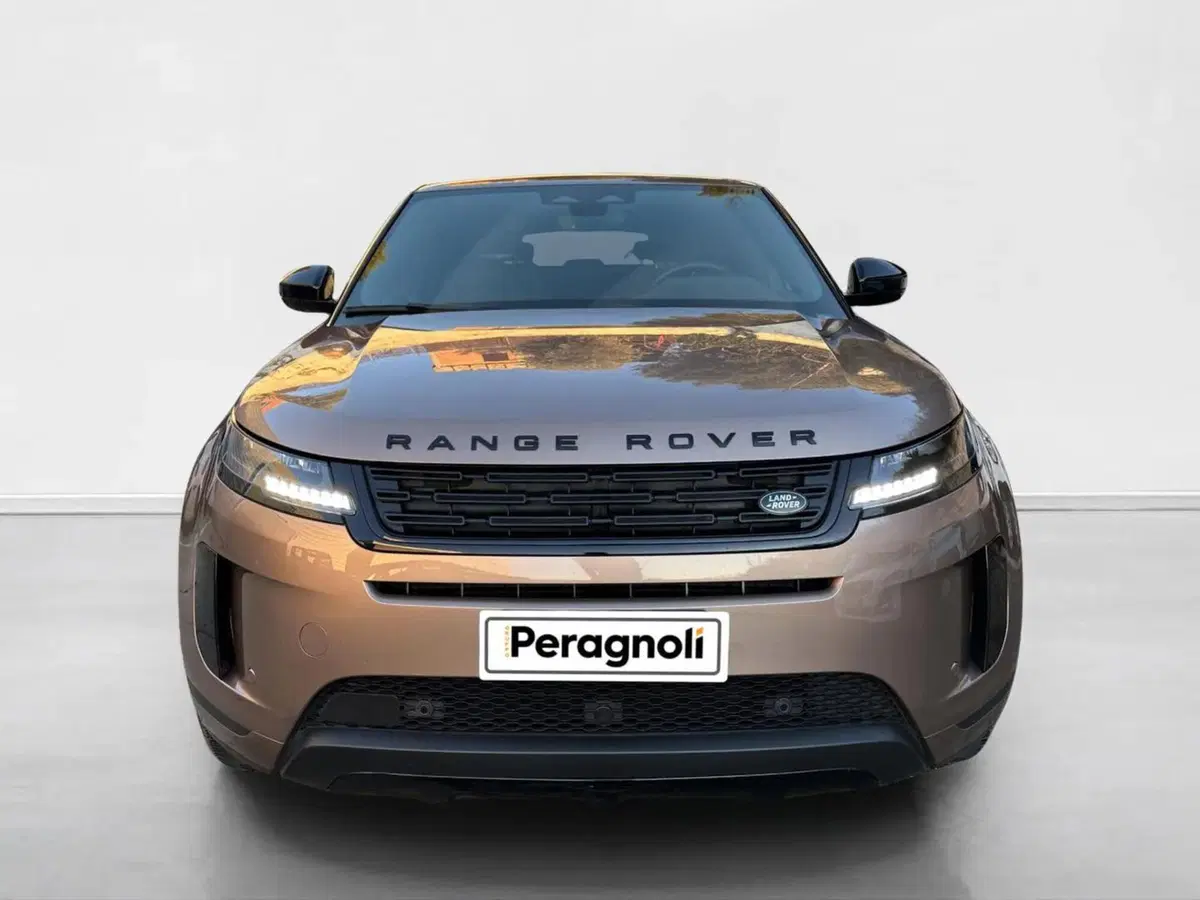 Land Rover Range Rover Evoque usata a Siena (8)