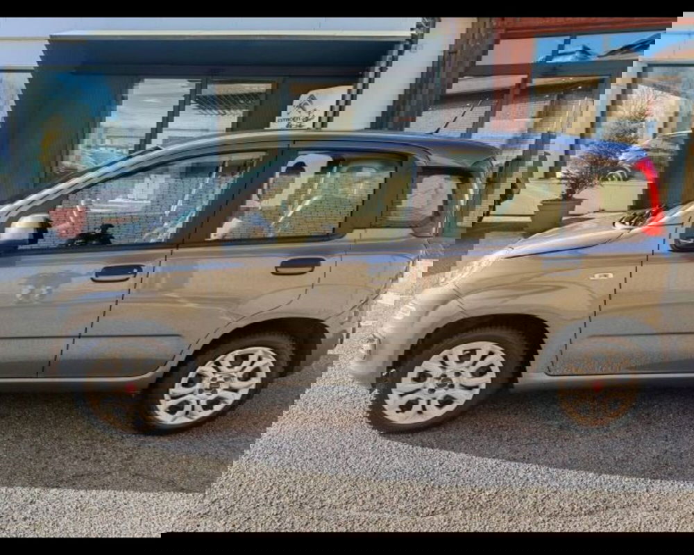 Fiat Panda usata a Potenza (2)