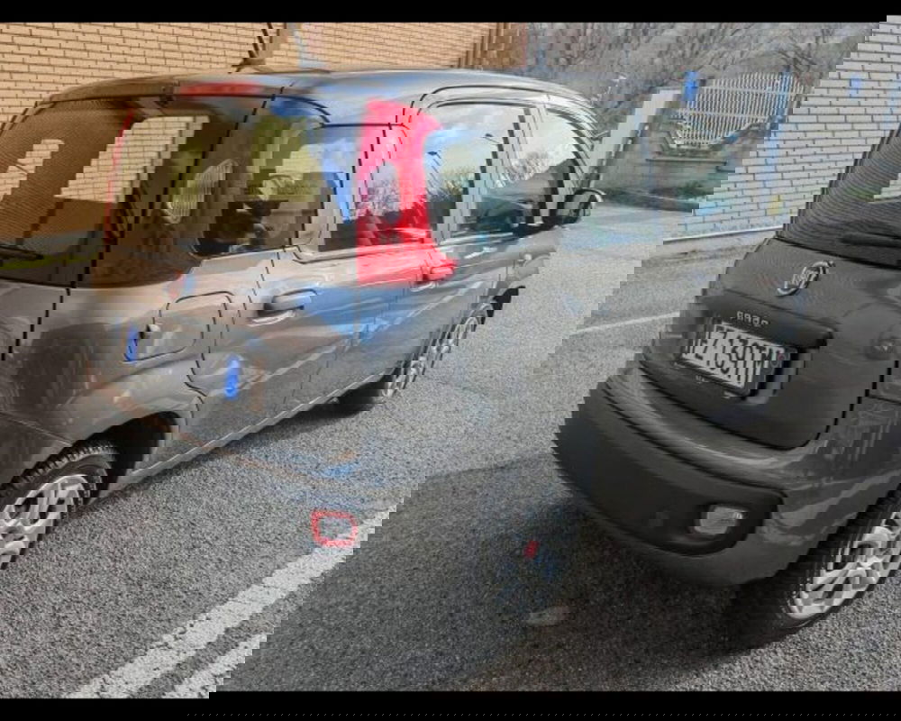 Fiat Panda usata a Potenza (5)