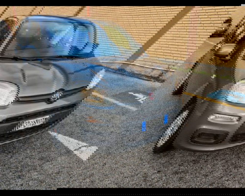 Fiat Panda usata a Potenza (7)