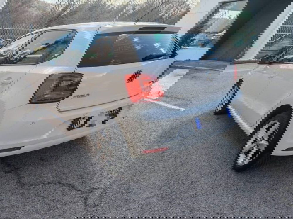 Volkswagen Polo nuova a Potenza (3)