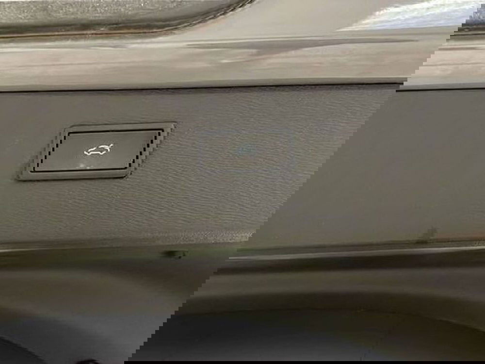 Cupra Formentor usata a Vicenza (18)