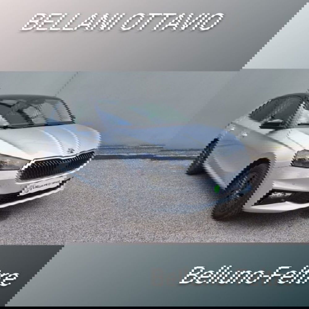 Skoda Fabia usata a Belluno