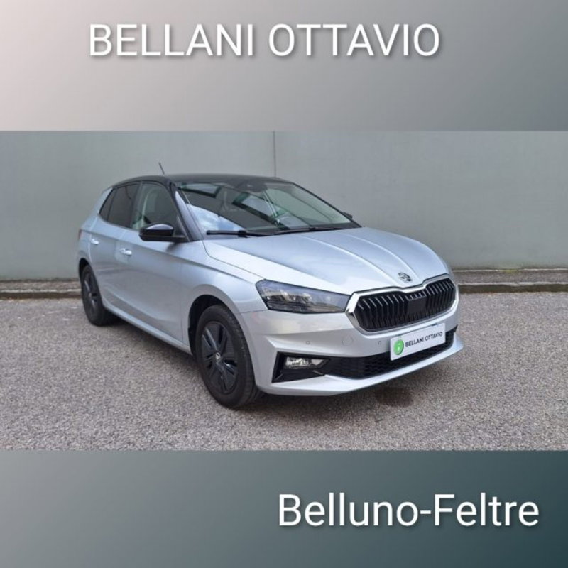 Skoda Fabia usata a Belluno