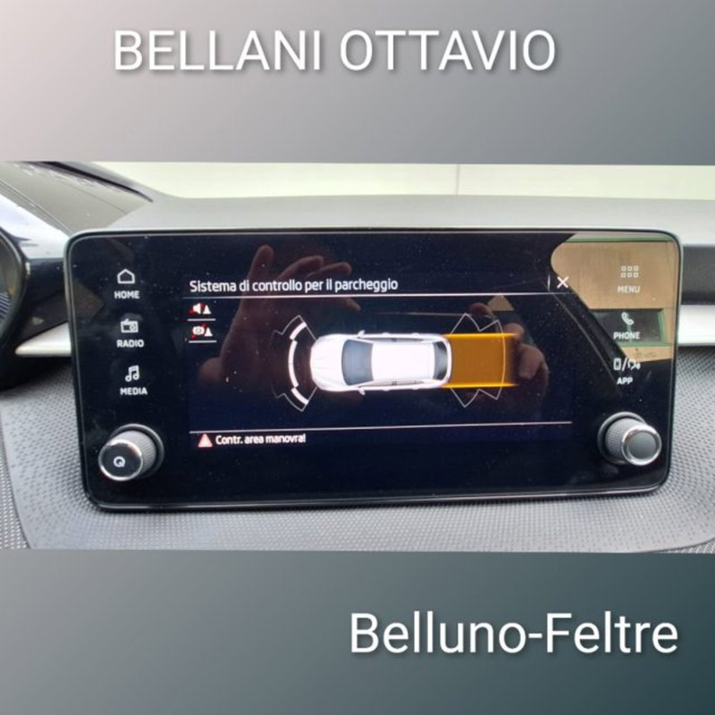 Skoda Fabia usata a Belluno (11)