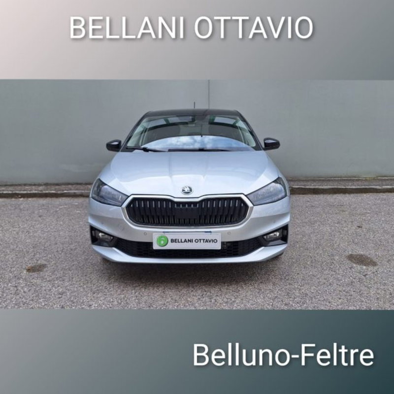 Skoda Fabia usata a Belluno (2)