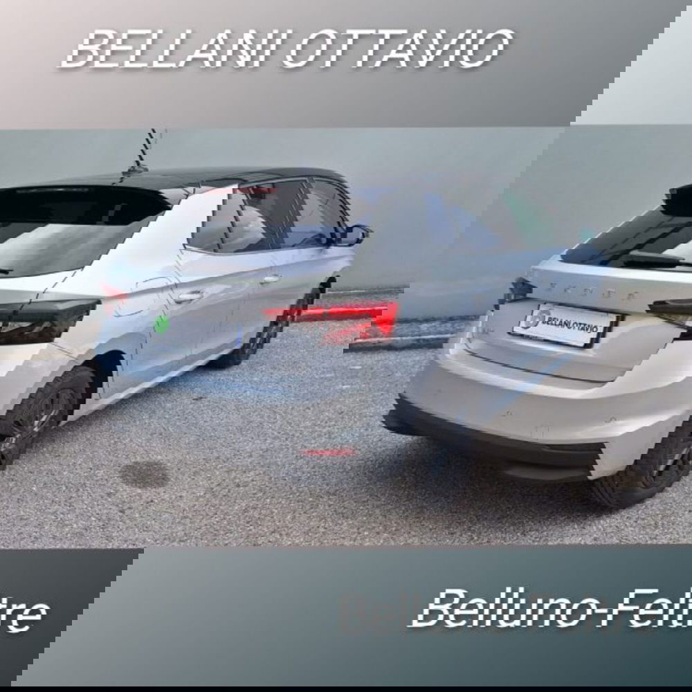 Skoda Fabia usata a Belluno (3)