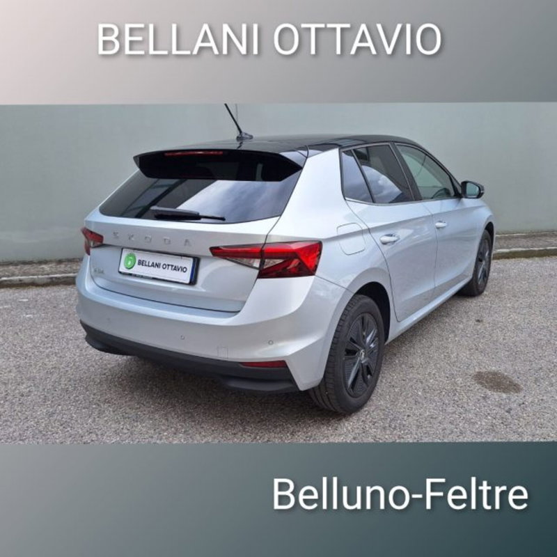 Skoda Fabia usata a Belluno (3)