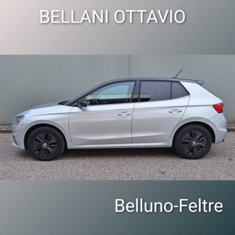 Skoda Fabia usata a Belluno (5)