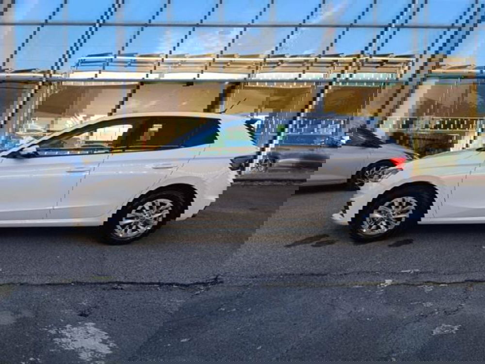 Skoda Fabia usata a Pisa (7)