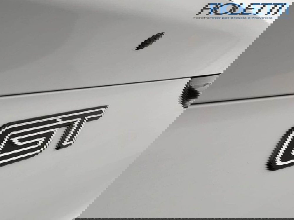 Ford Mustang Mach-E usata a Brescia (18)