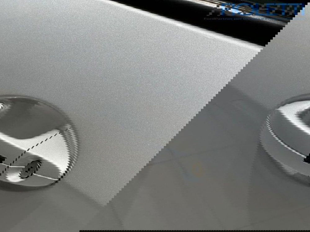 Ford EcoSport usata a Brescia (17)