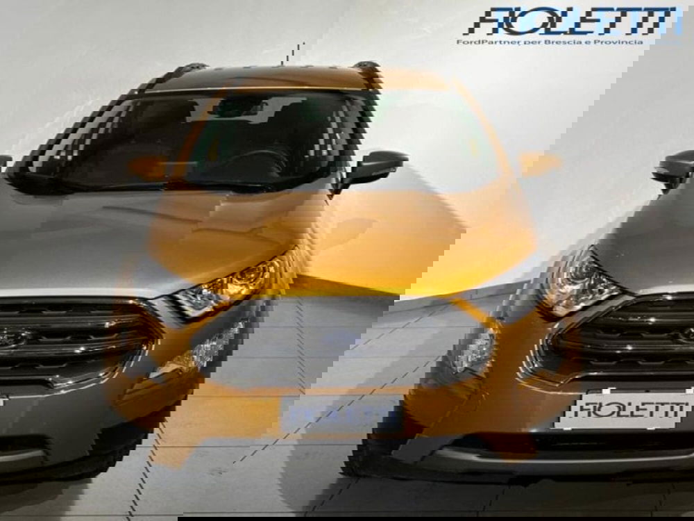 Ford EcoSport usata a Brescia (3)