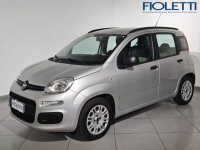 Fiat Panda 1.3 MJT S&amp;S Lounge del 2014 usata a Brescia