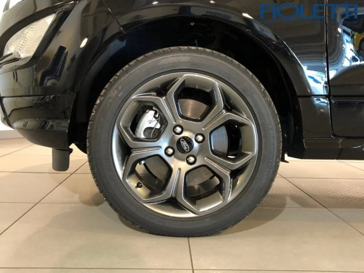 Ford EcoSport usata a Brescia (14)