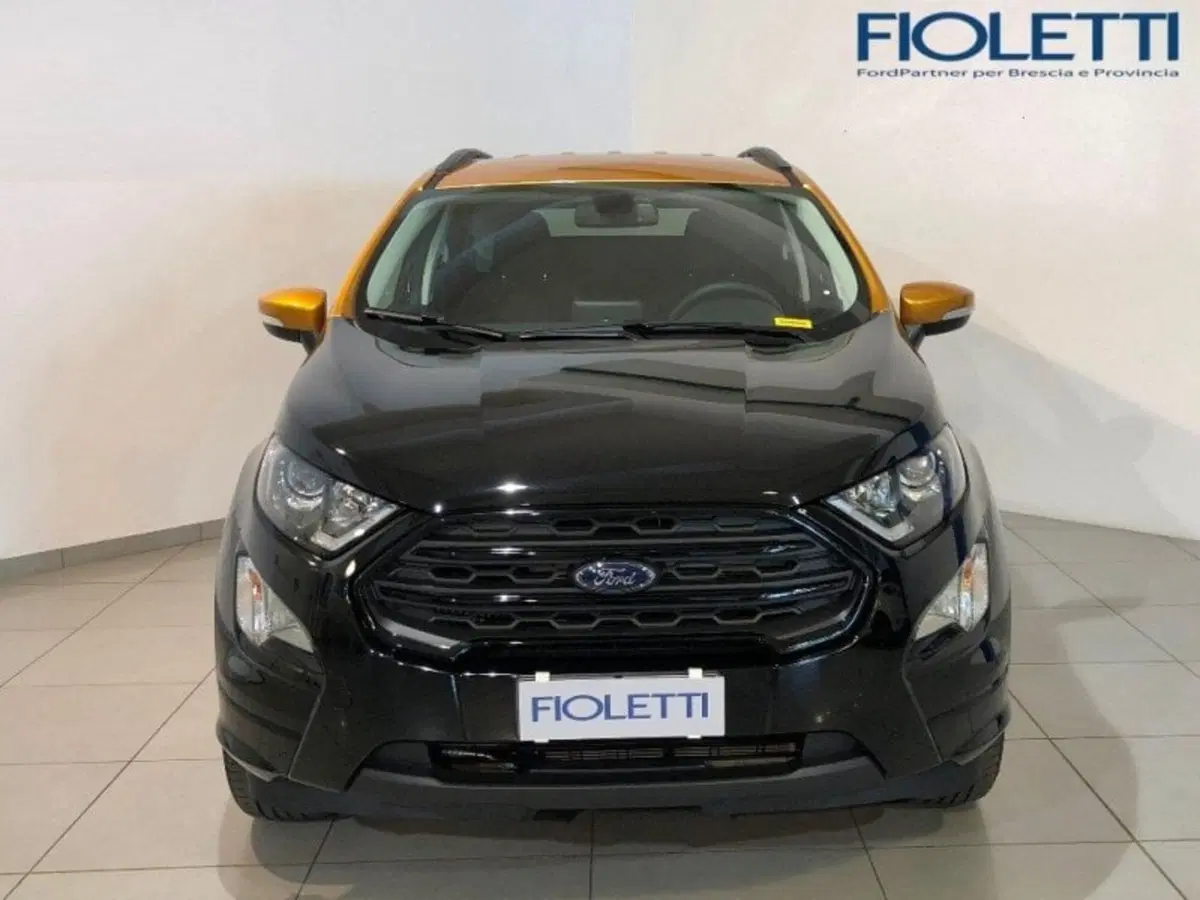 Ford EcoSport usata a Brescia (4)