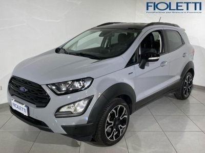 Ford EcoSport 1.0 EcoBoost 125 CV Start&amp;Stop Active del 2022 usata a Concesio