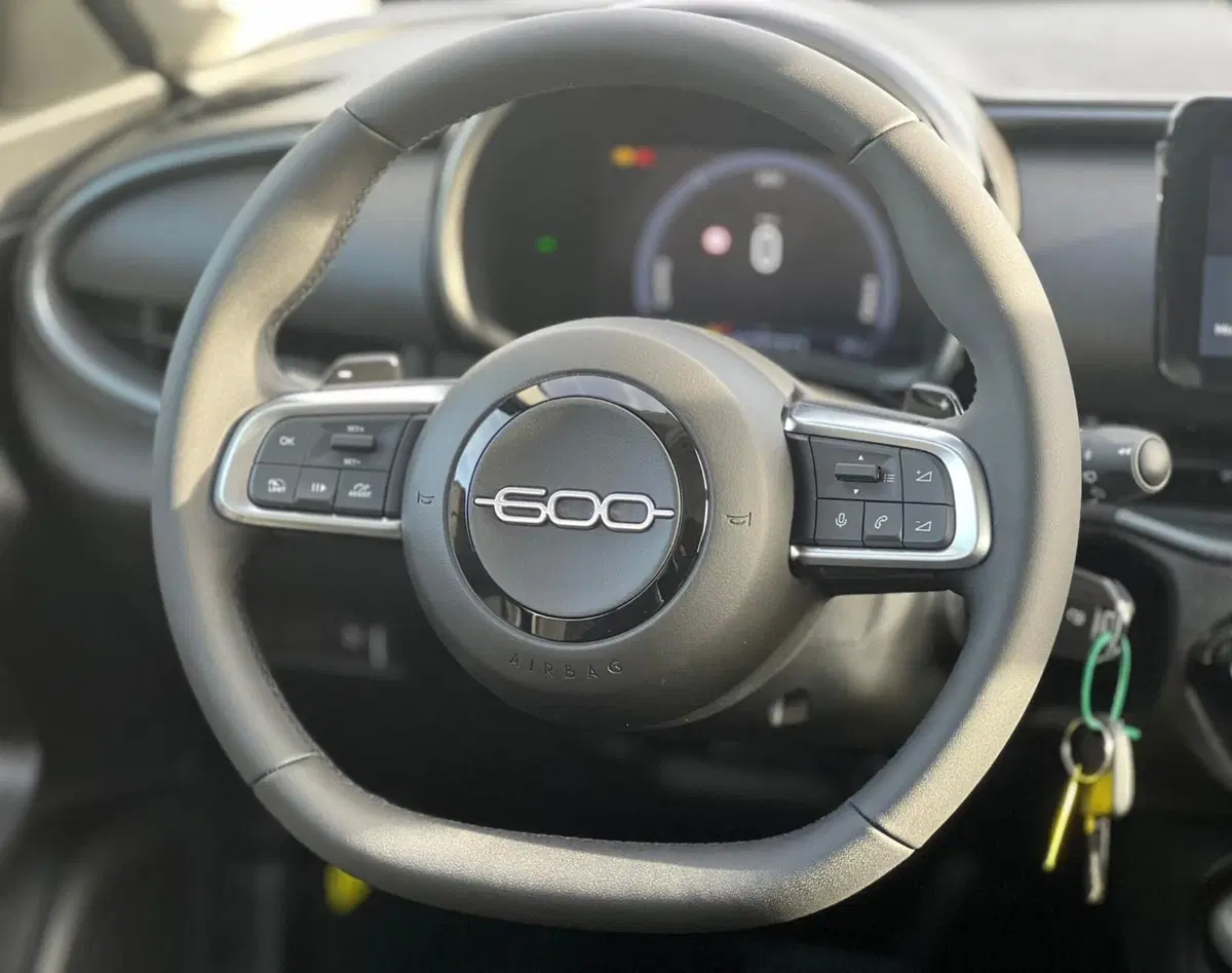 Fiat 600 nuova a Matera (18)