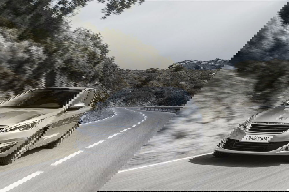 Peugeot 308 usata a Parma (7)