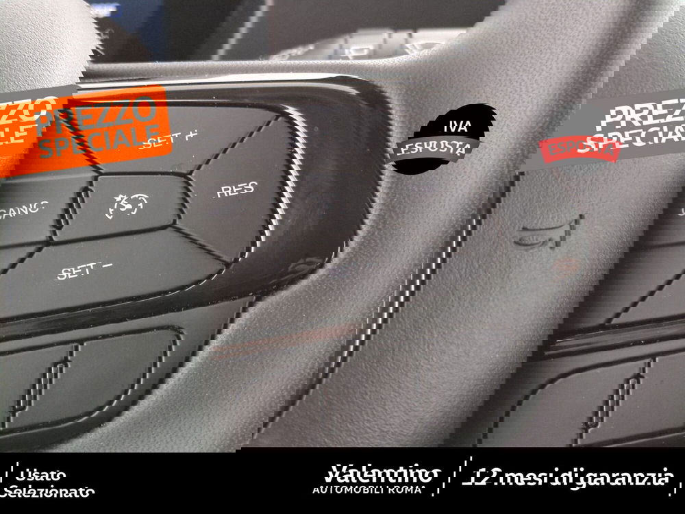 Fiat Panda Cross usata a Roma (15)