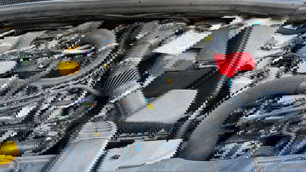 Renault Clio usata a Parma (20)