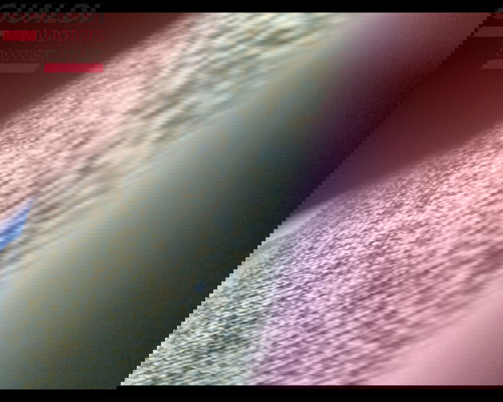 Ford Kuga usata a Modena (15)