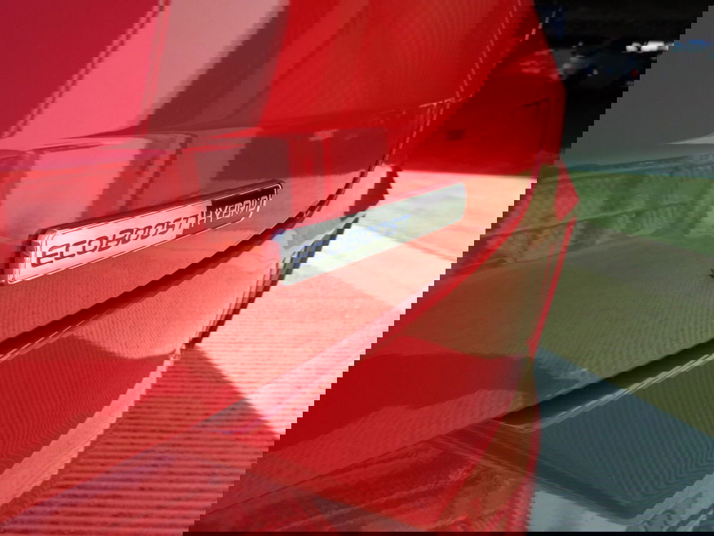 Ford Puma usata a Treviso (19)