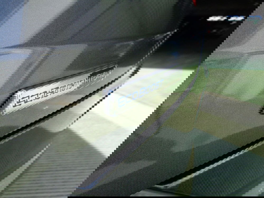 Ford Puma usata a Treviso (19)