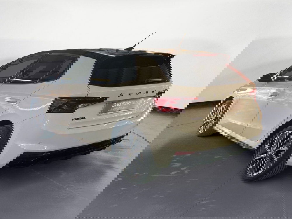 Skoda Fabia usata a Reggio Calabria (7)