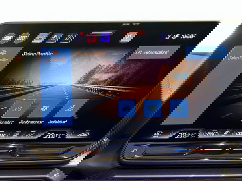 Cupra Formentor usata a Vicenza (17)