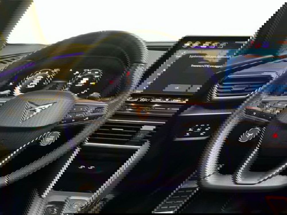 Cupra Formentor usata a Vicenza (9)