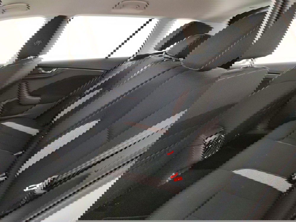 Skoda Kamiq usata a Massa-Carrara (10)