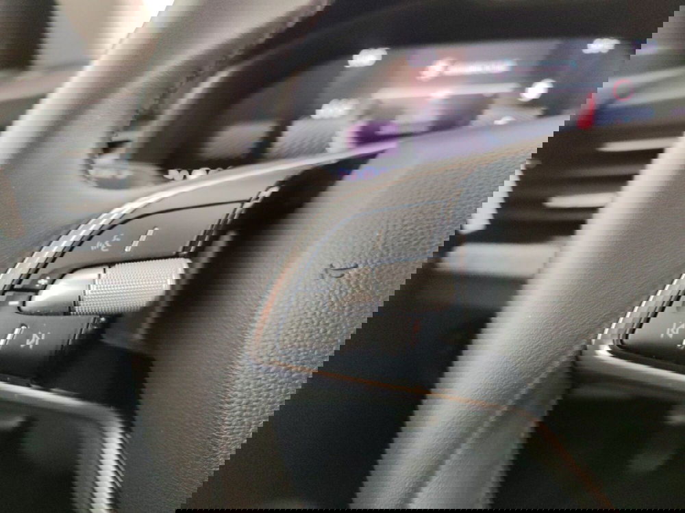 Skoda Kamiq usata a Massa-Carrara (14)